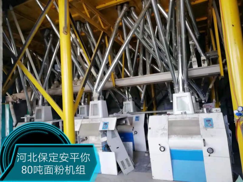 河北保定安平你80吨面粉机组