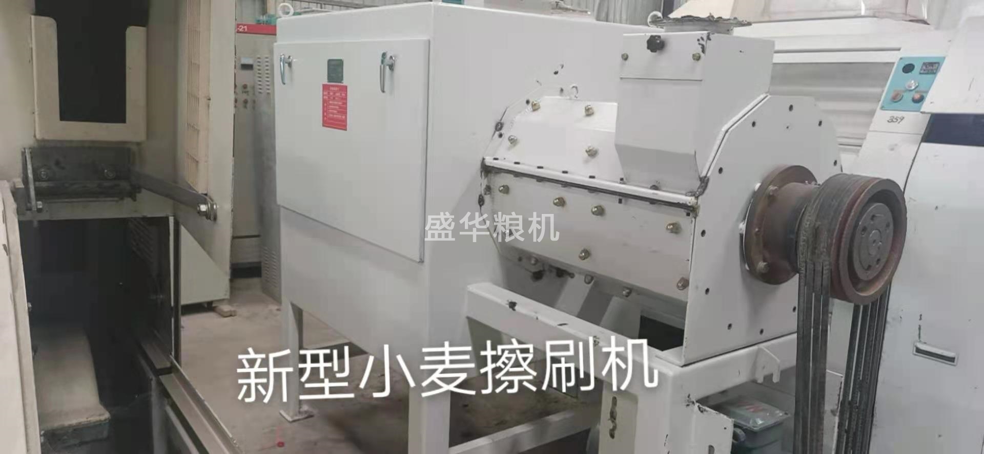 新型小麦擦刷机