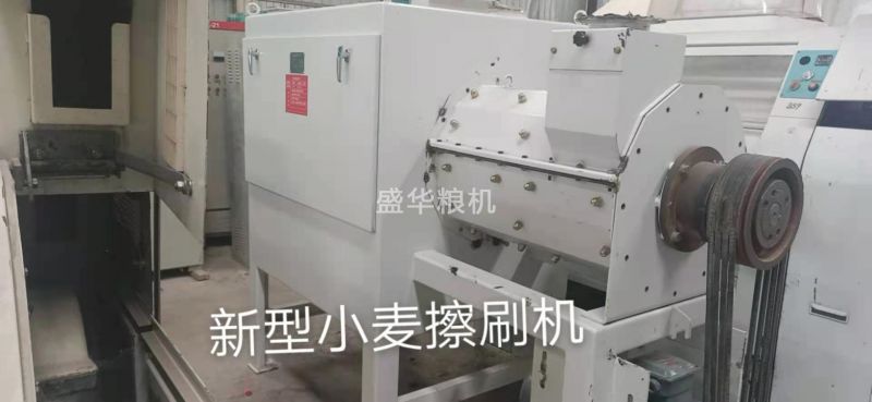 新型小麦擦刷机