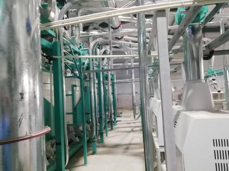 山东德州临邑六加四石磨面粉机