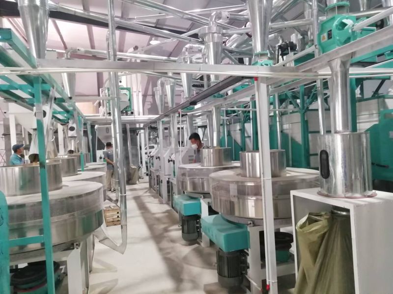 山东德州临邑六加四石磨面粉机