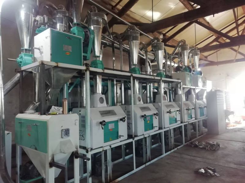 新疆昌吉六组日处理小麦30吨平筛制粉磨粉机和三加一石磨面粉机安装现场