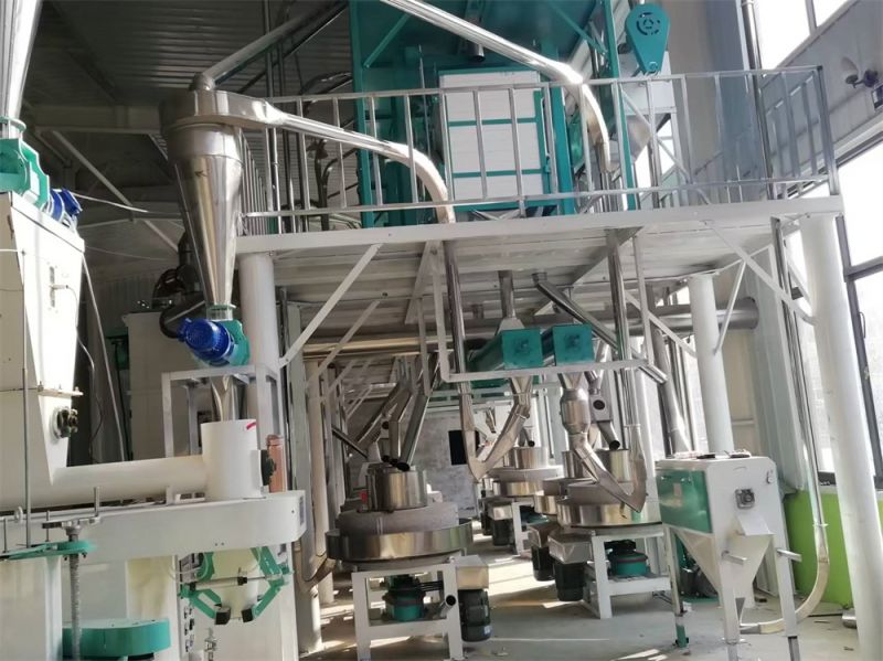 河北沧州经济开发区八加四石磨面粉机生产线安装现场