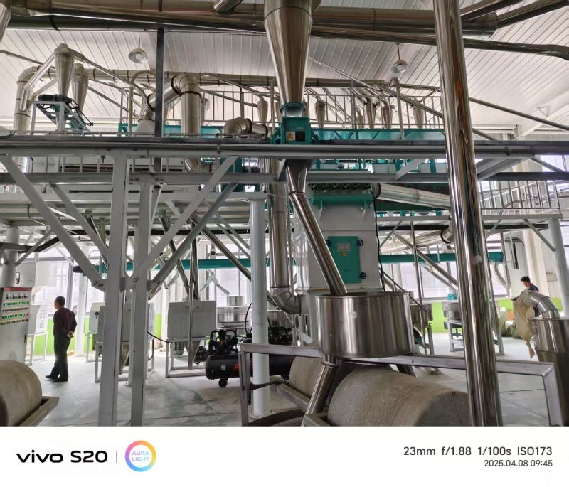 河北沧州八加四石磨面粉机生产线