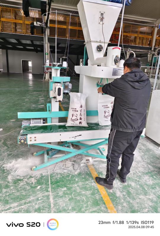 河北沧州八加四石磨面粉机生产线