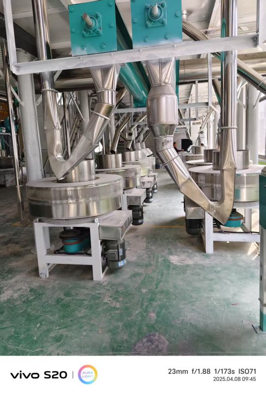 河北沧州八加四石磨面粉机生产线