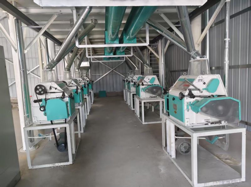 内蒙通辽开鲁县40吨面粉机生产线