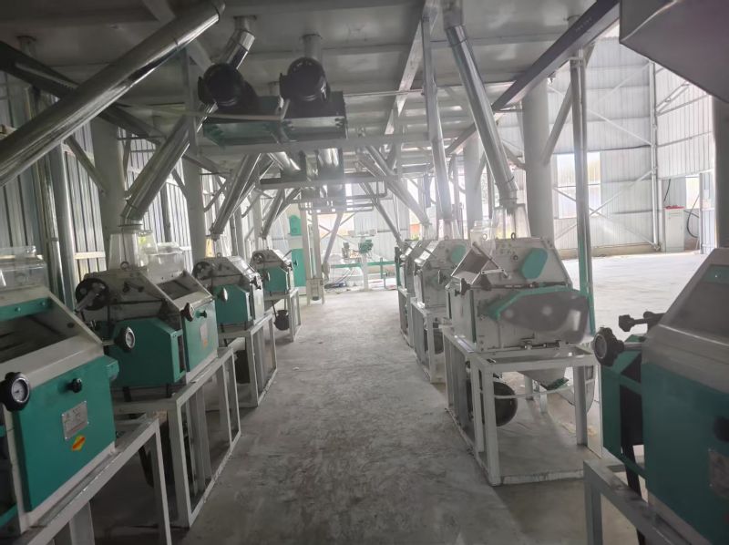内蒙通辽开鲁县40吨面粉机生产线