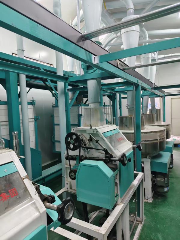 天津宝坻区王总日处理小麦25吨石磨面粉机生产线