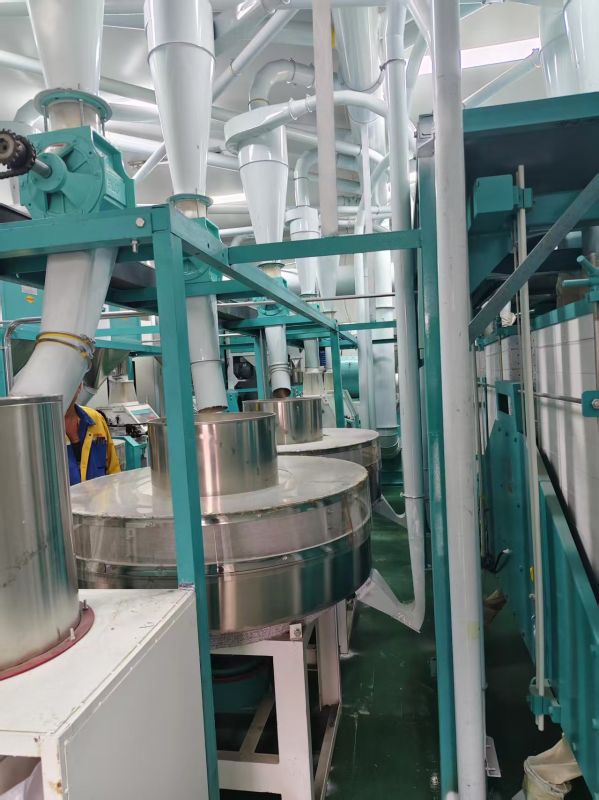 天津宝坻区王总日处理小麦25吨石磨面粉机生产线