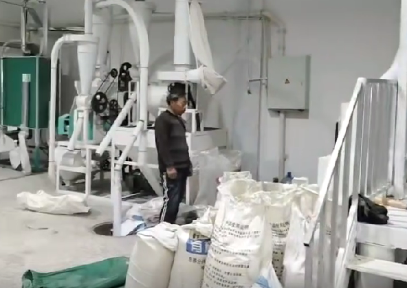 河南滑县小麦麦仁生产线
